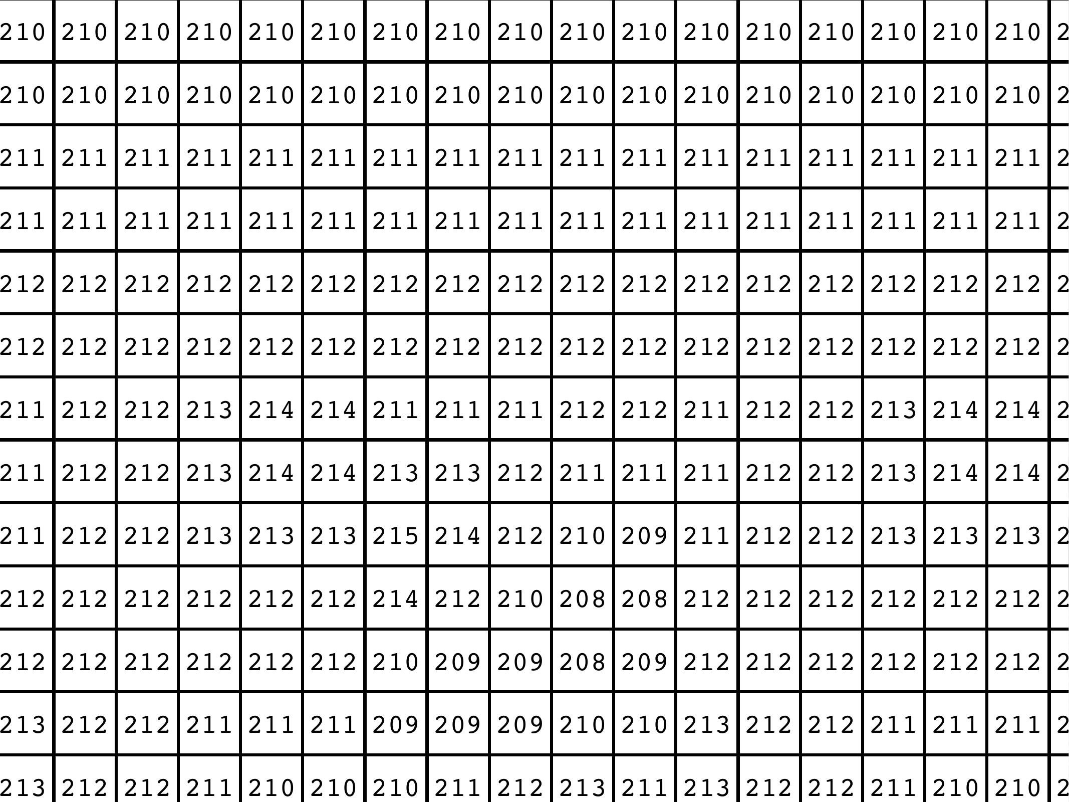 A close-up region of an image shown as a grid of pixel intensity values around 208-215.