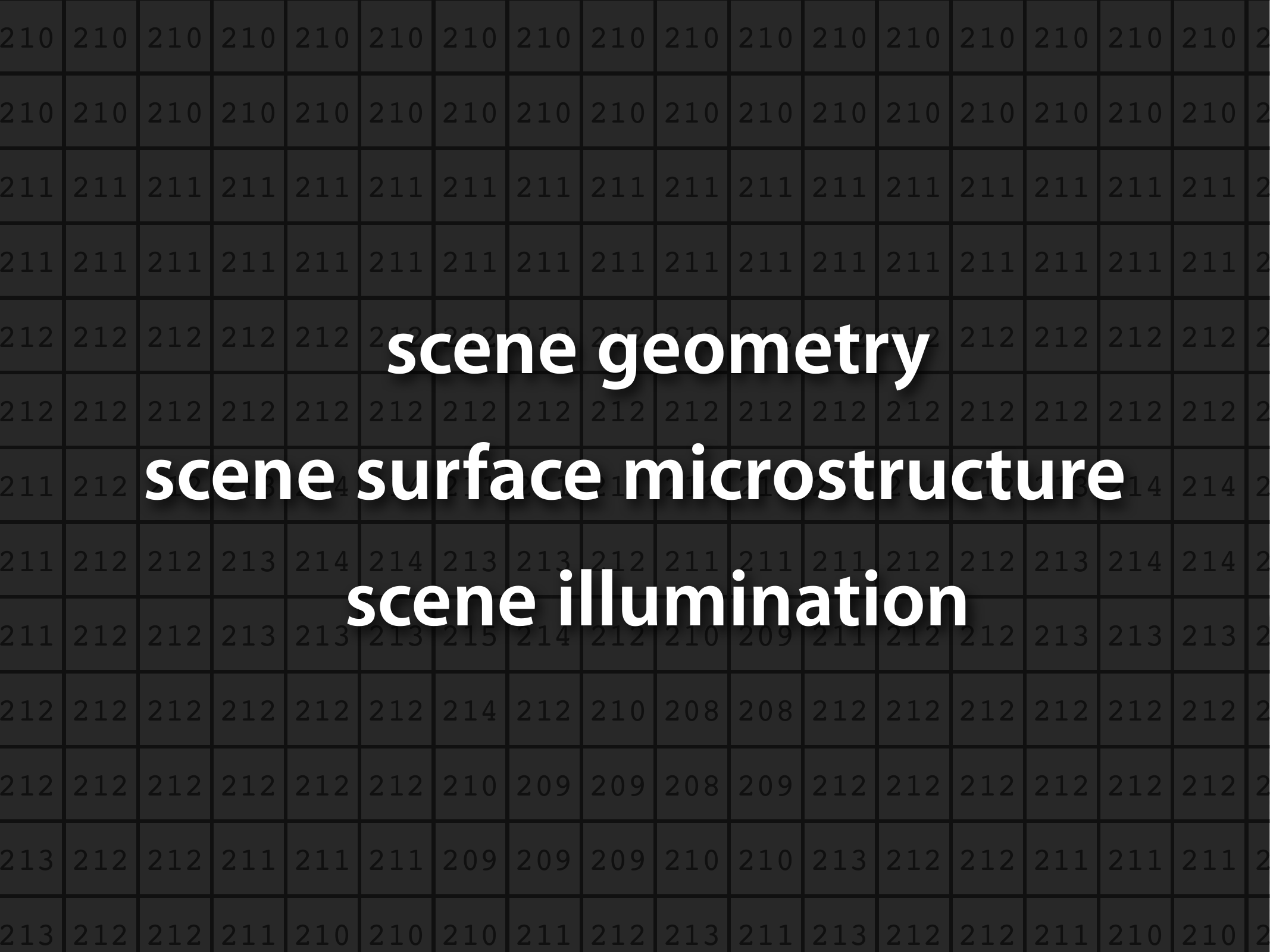 Pixel-value grid overlaid with the terms scene geometry, scene surface microstructure, and scene illumination.