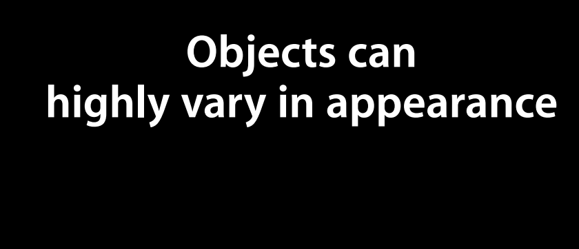 Text: Objects can highly vary in appearance.