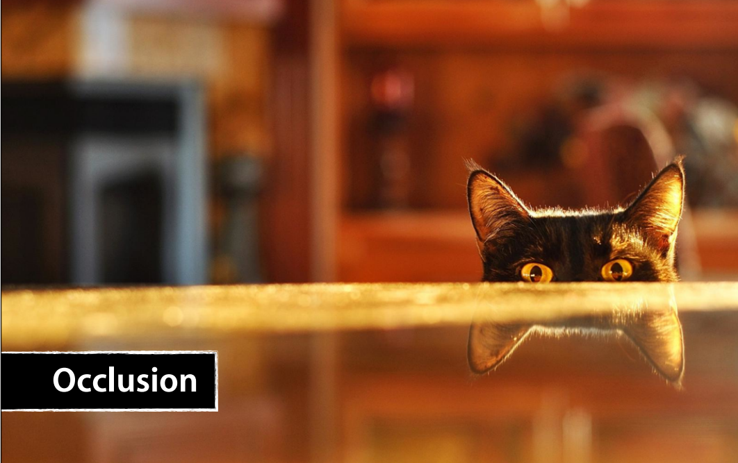 A cat mostly hidden behind a table edge, only its ears and eyes visible.