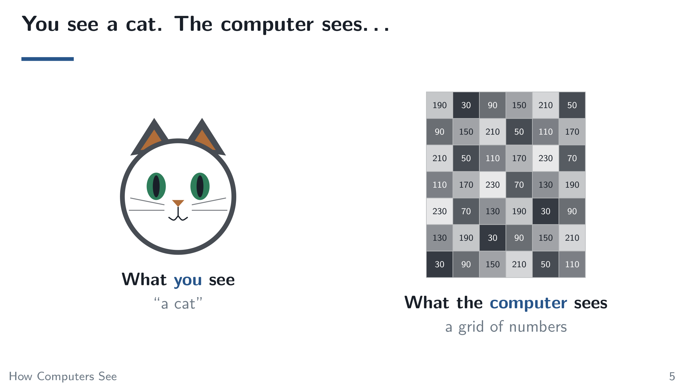 You see a cat. The computer sees…