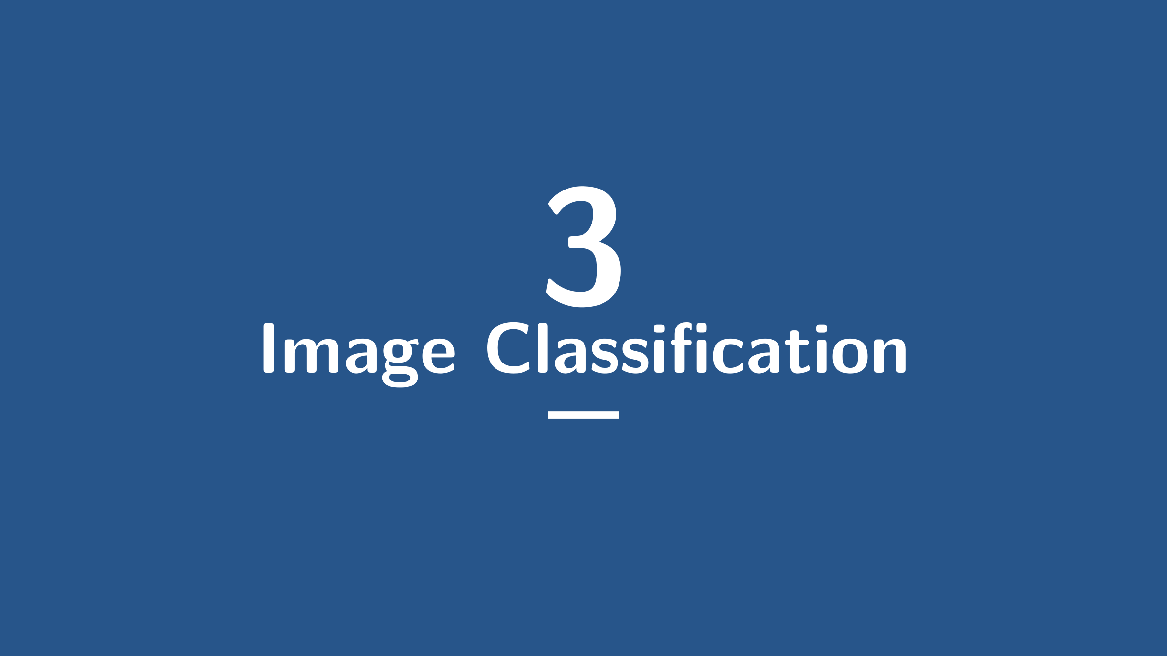 Image Classification