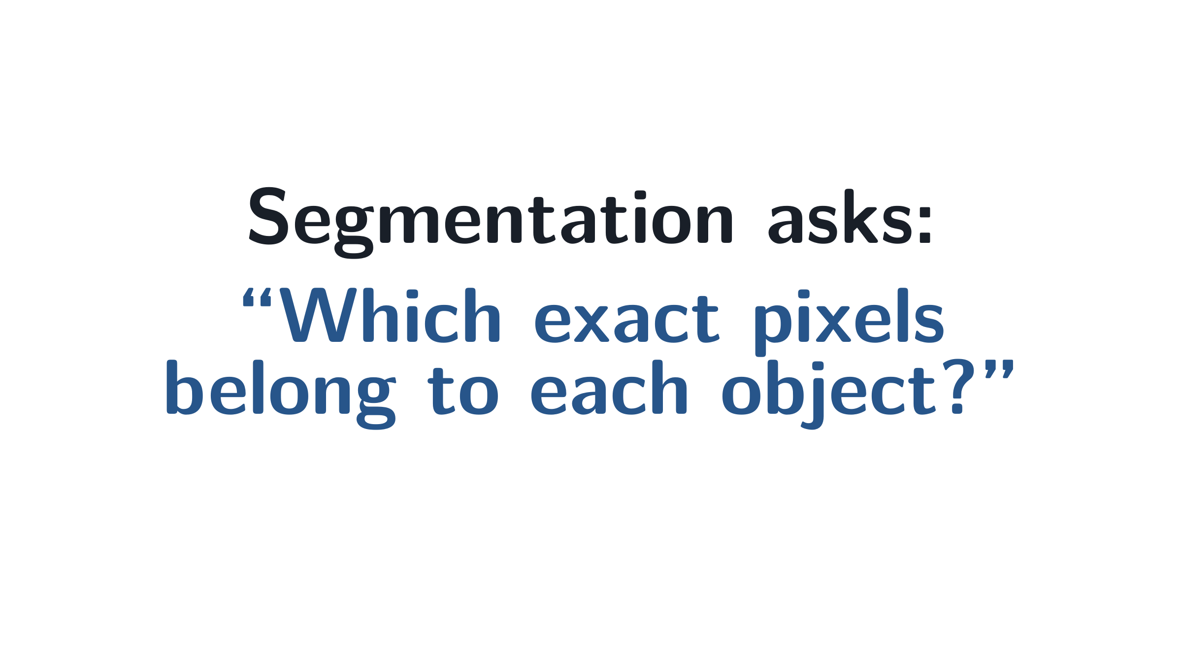 Segmentation asks: which exact pixels?