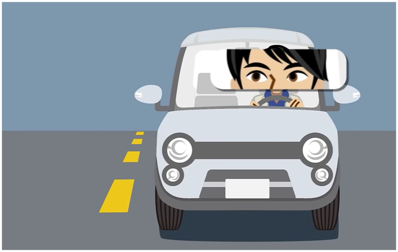 A human driver