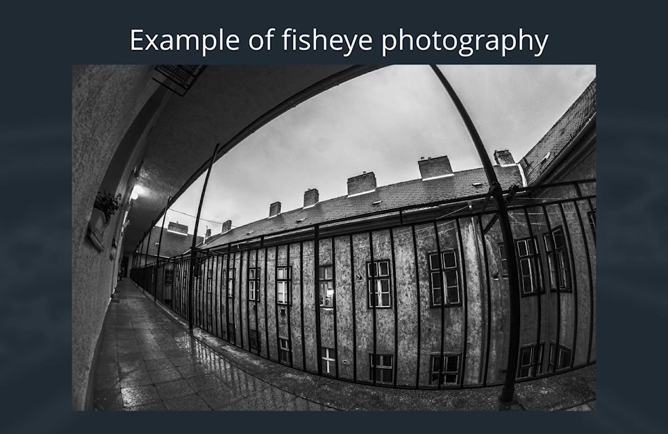 Fisheye photograph
